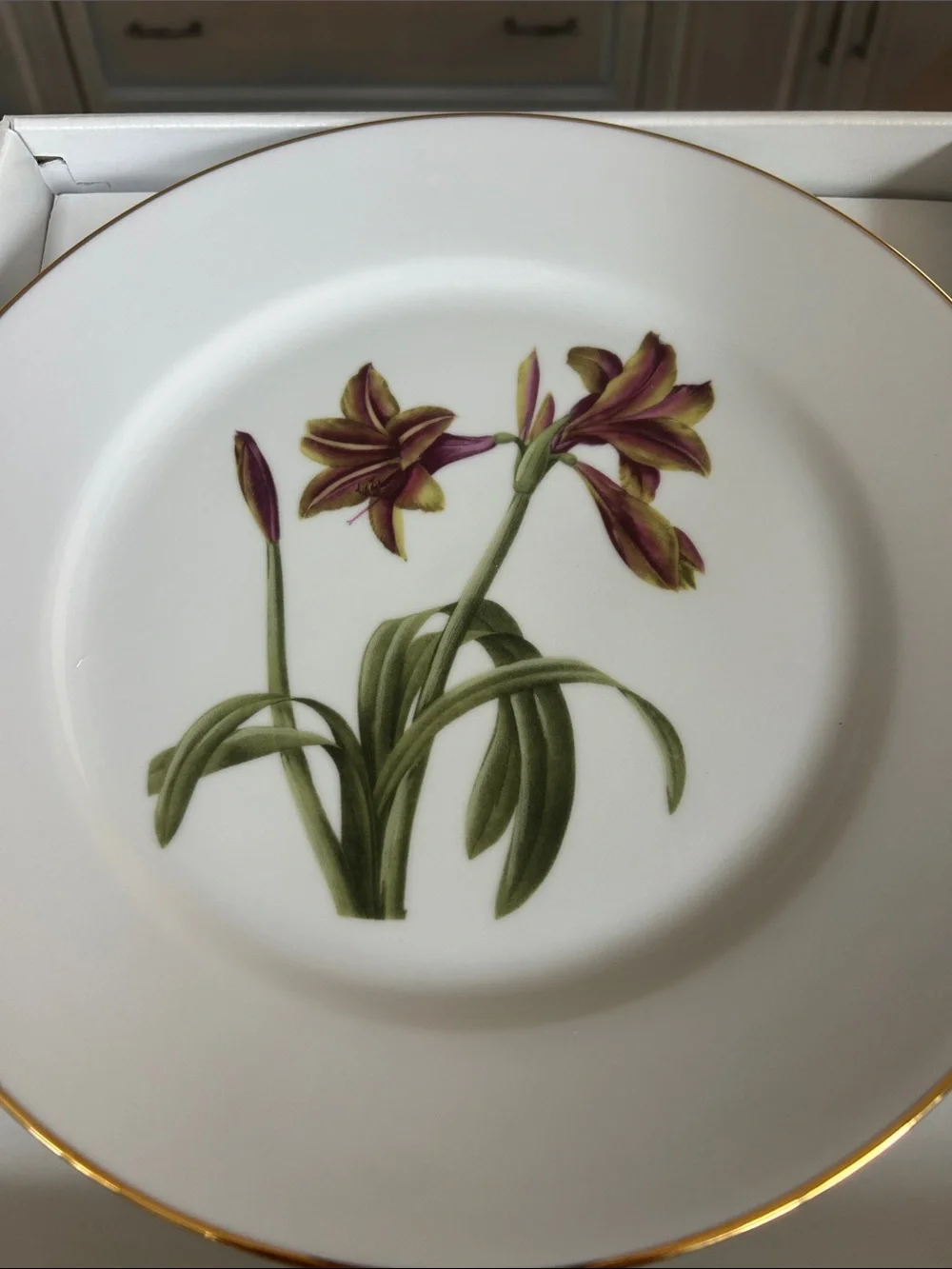 ANDREA BY SADEK AMARYLLIS 10.5